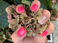 07512121-EF6B-45BC-8F66-D28604C5F815